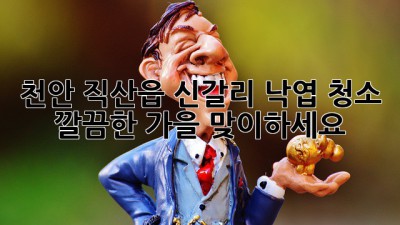 천안 직산읍 신갈리 낙엽 청소, 깔끔한 가을 맞이하세요!