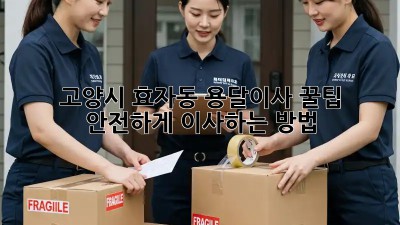 고양시 효자동 용달이사 꿀팁🍯 안전하게 이사하는 방법!